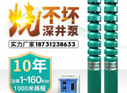 深井泵380v高揚程大流量多級農(nóng)用深水灌溉潛水泵